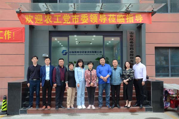 农工党市委领导莅临QY千亿国际指导合影