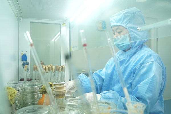 阳明心学实修学者张恒智老师到QY千亿国际指导交流